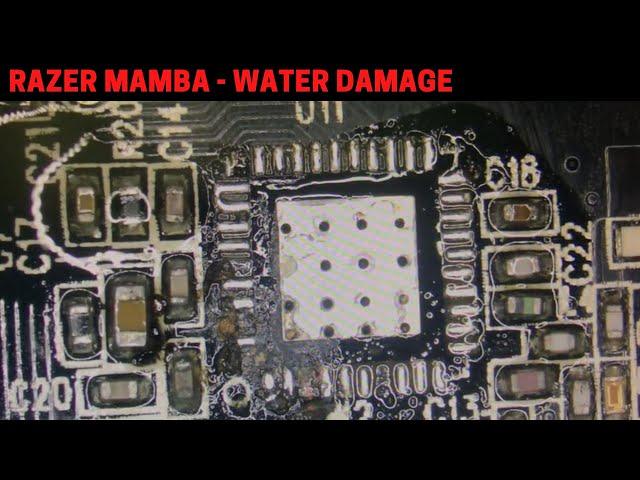 RAZER MAMBA - WATER DAMAGE [ NO POWER ]