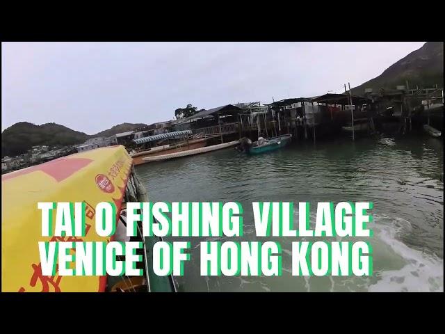 HUNTING FOR PINK DOLPHIN l LITTLE VENICE l STILT HOUSES l TA I O  HONG KONG l JOSIE AMBO