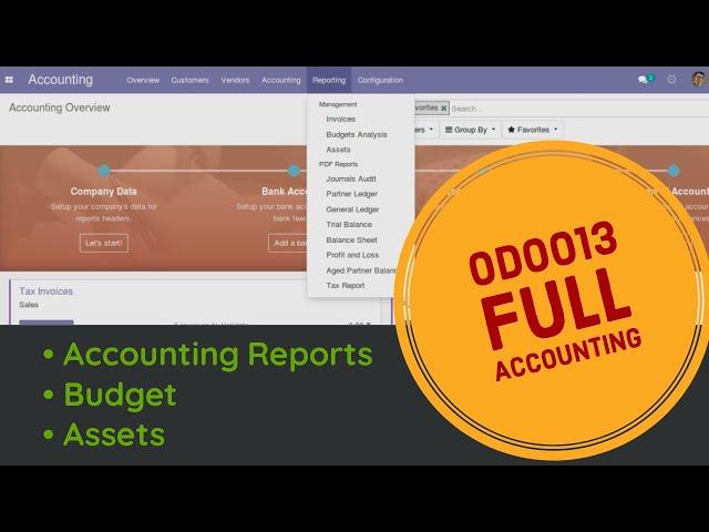 Odoo 13  Accounting: PDF Reports, Budget and Asset Management