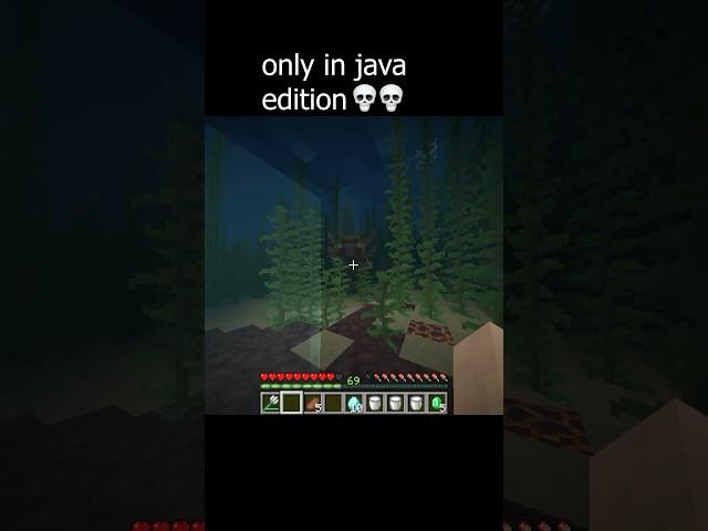 Only in Java edition  #minecraft #minecraftmemes #gaming #memes #minecraftpe #minecraftshorts #fyp