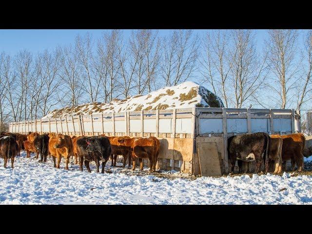 1600sq/ft Custom Cattle Feeder