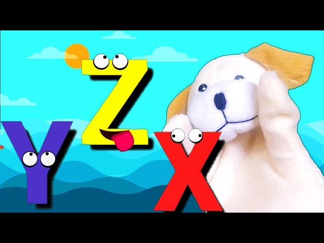 Learn the Alphabet BACKWARDS with Excite Dog! Z Y X!!