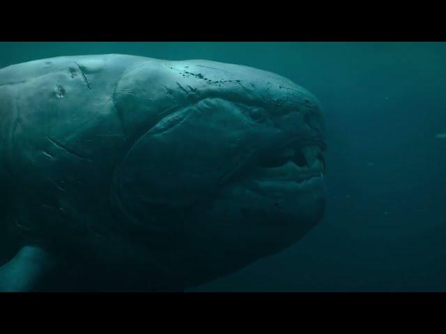 Dunkleosteus Attack Life on our Planet