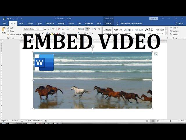 insert video into word