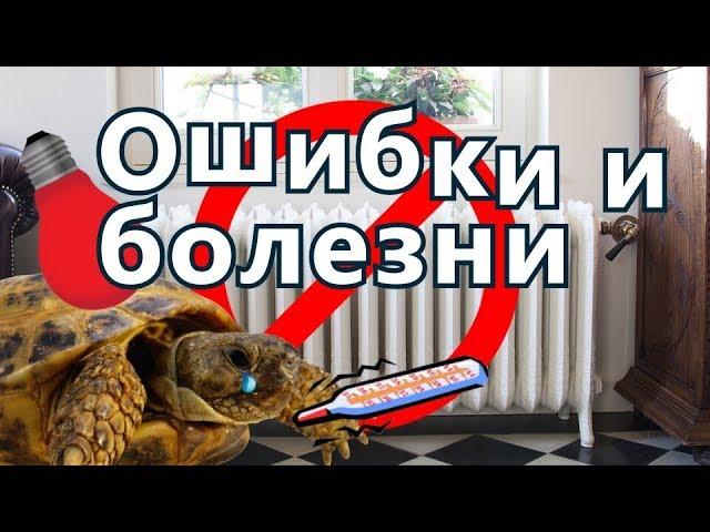 Болезни среднеазиатских черепах. Грубейшие ошибки в содержании