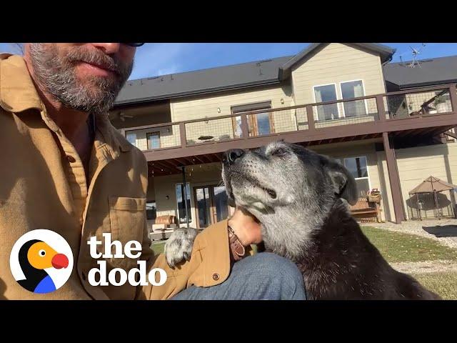 16 Year Old Shelter Dog Starts Galloping Like A Puppy With His Foster Dad | The Dodo Foster Diaries