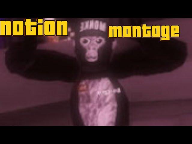 Notion montage with B4nz-vr