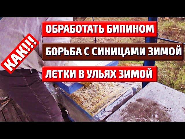 Подготовка пчел к зимовке Летки в ульях Обработка бипином Борьба с синицами