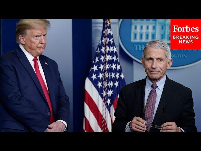 Fauci: 'We Give Credit To The Trump Administration' For Operation Warp Speed