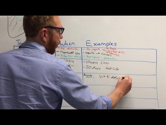 Liver Function Tests: LFTs