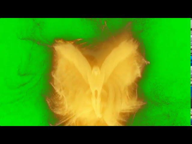 Amazing Golden Particles Eagle Animation (green screen)