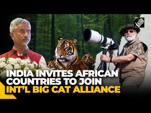 India invites African countries to join the International Big Cat Alliance