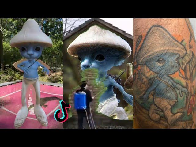 Smurf Cat Meme Reels & Tiktok Compilation #8