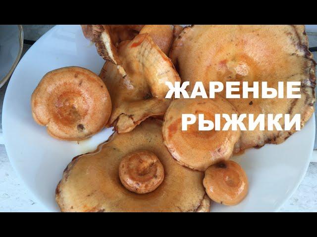 Жареные рыжики: очень просто и очень вкусно!