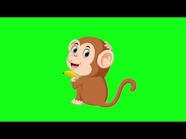 Animated green screen Monkey-2  | No copyright| Animation World