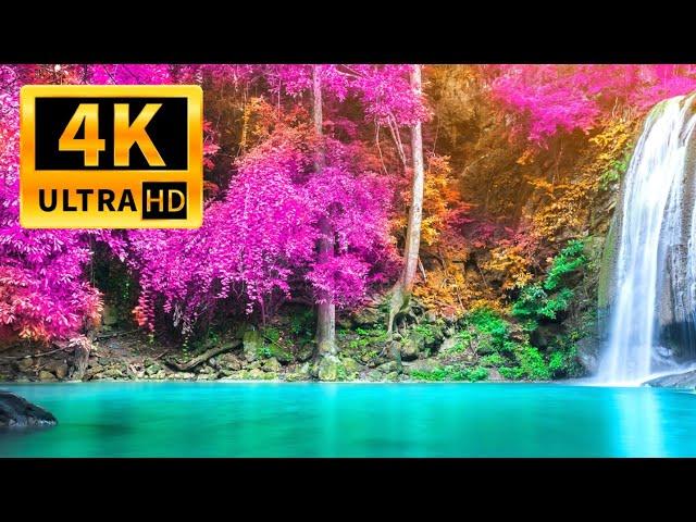 САМЫЕ РАЙСКИЕ МЕСТА НА ЗЕМЛЕ ВИДЕО 4K