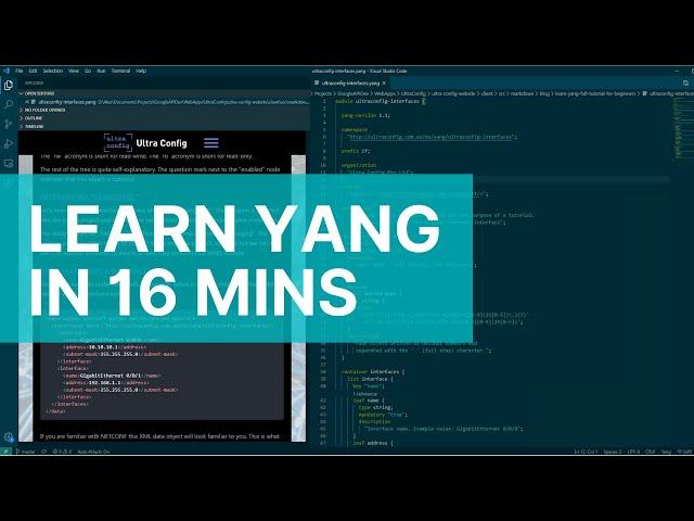 Learn YANG! Full Tutorial for Beginners (Yet Another Next Generation)