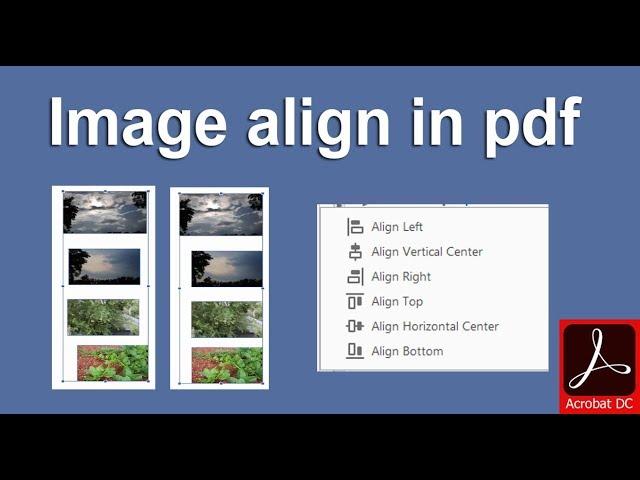 How to Align Image or object in Adobe Acrobat Pro