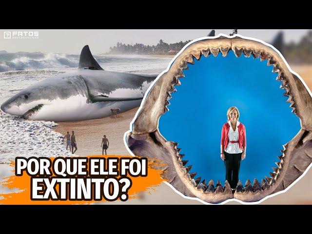 Como o megalodonte foi extinto?