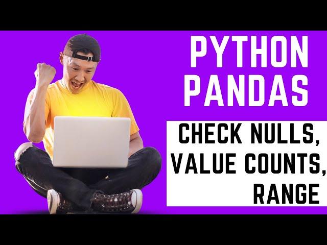 Python Pandas - Check Nulls, Value Counts and Range of Columns