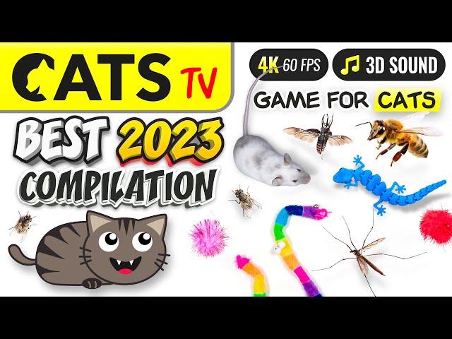 CAT TV - BEST 2023 Compilation for Cats  5 HOURS [4K]