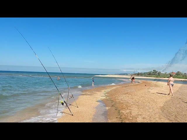 Мы в восторге! Приехали на море. Обстановка на пляже. Море уже +27, 8 июня 2024 г. поселок Пересыпь