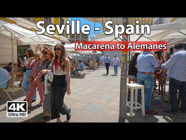 ️ Seville 4K Walk from Macarena to Alemanes  Virtual Walking Tour, Spain