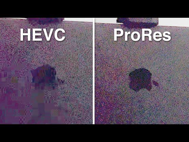 Why Shoot ProRes on the iPhone 13 Pro? (Real-world differences)