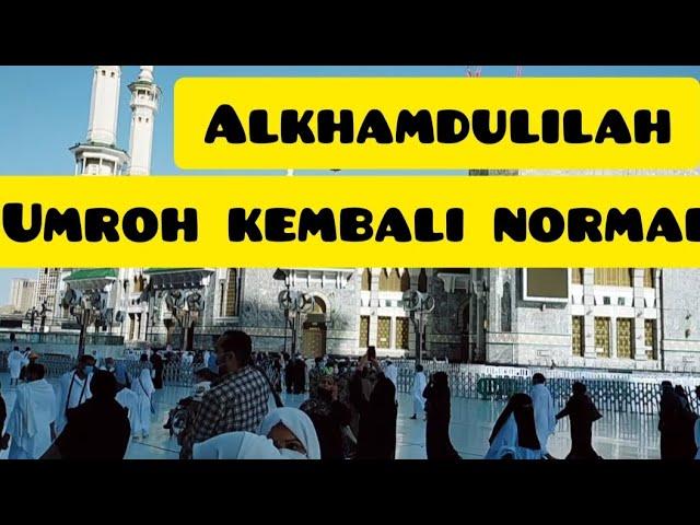 KABAR MASJIDIL HARAM PAGI INI_KARANTINA DI HAPUS_JAMAAH UMROH MEMBLUDAK~Almarwa Tour~@nadirgumelar990