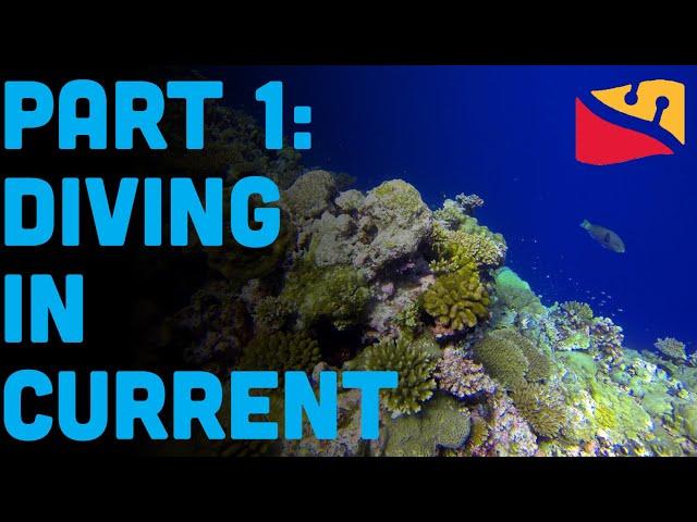 How To Scuba Dive In The Ocean Part 1: Currents. Presented By Dive Rite