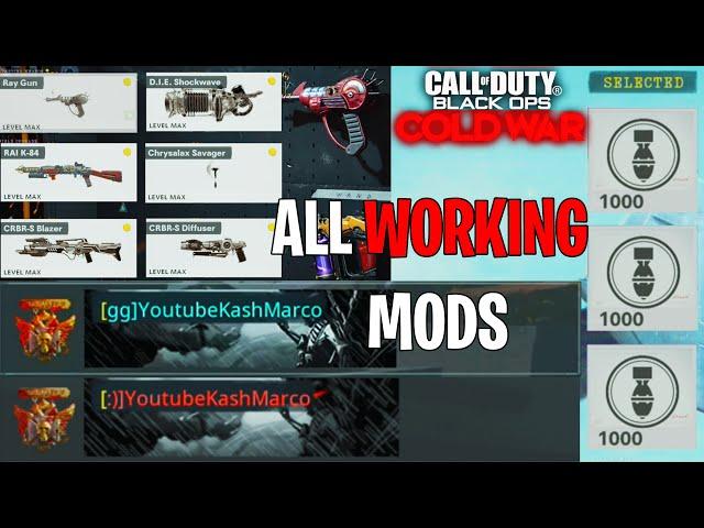 ALL Cold War *NEWEST* MODS Spawn with WONDER WEAPONS,NUKE scorestreak, COLORED Name and clan tag