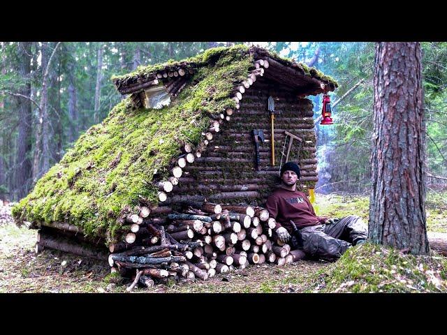 Building a log hut to survive in a wild forest. Bushcraft camping in the wild