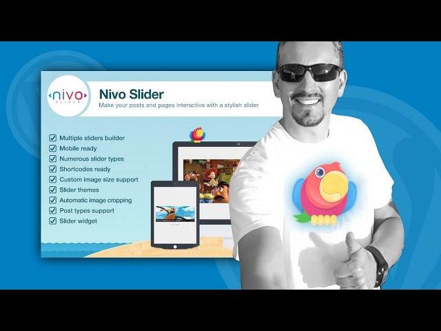 WordPress Slider Plugin Free: How To Get Started With Nivo Slider