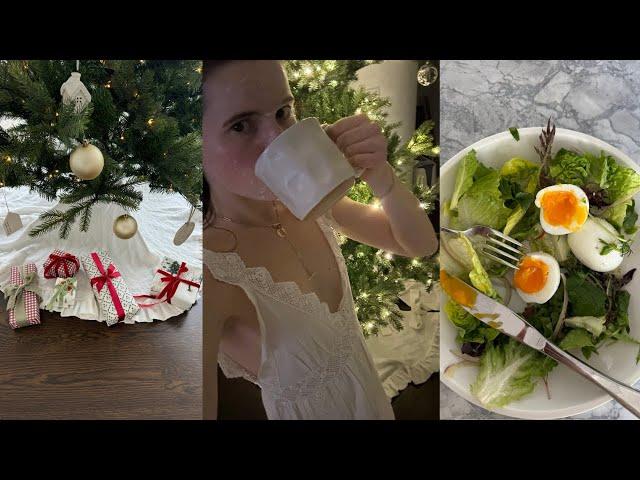 VLOG: Christmas prep in Chicago, grounding before the New Year, holiday baking & pack with me!