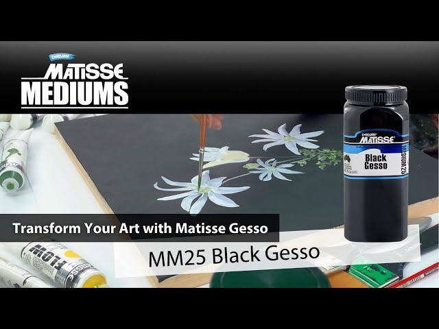 MM25 Matisse Black Gesso | Product Profile