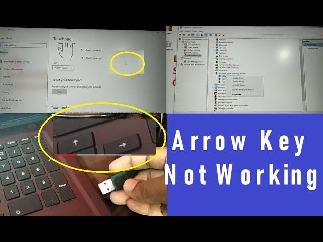 Mouse, Touchpad, Keyboard Arrow Key Not Working Windows 10 and windows 11 [7 Easy Ways] Fixed