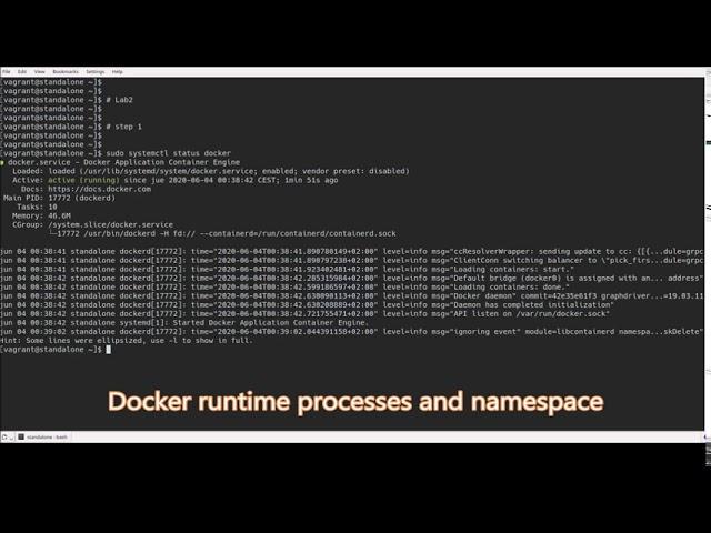 Docker Certified Associate (DCA): Exam Guide | 1. Modern Infrastructures & Applications with Docker