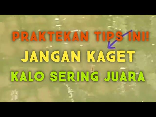 ANTI BONCOS!  TIPS DAN TRIK MANCING AGAR TIDAK BONCOS #mancing #mancingikanmas #mancingmania #joran