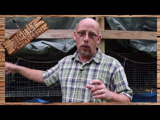 How Much Do Meat Rabbits Eat - The SR Rabbit Update 8-29-17