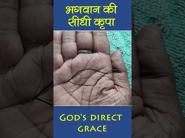 #god #grace #fish #shankar #shankh #astrology #reels #leaf #shortsvideo #shorts