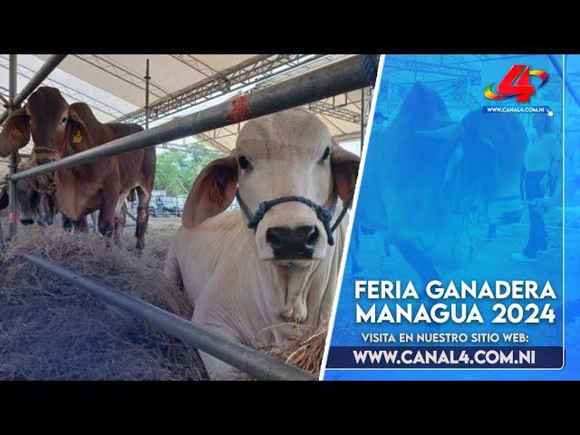 Feria Ganadera Managua 2024