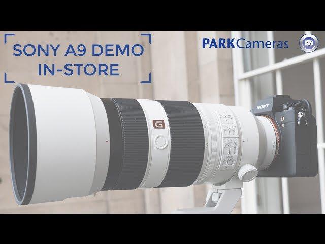 Sony a9 - In Store  at Park Cameras