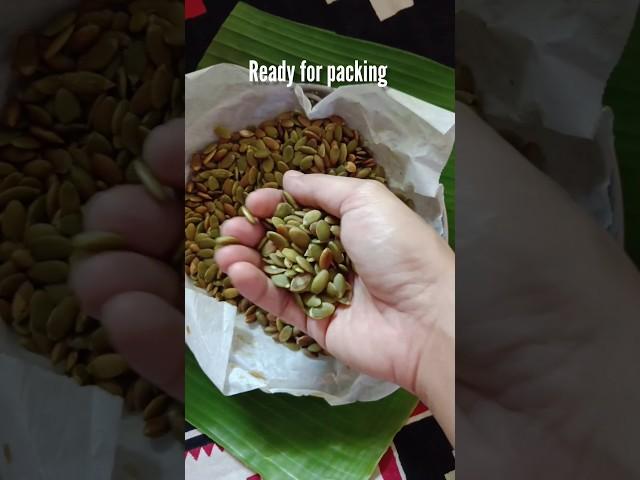 how to eat pumpkin seeds, dry soaked seeds in airfryer #shortsfeed #shortsvideo