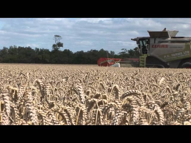 Nuffield 'Arable Farming where next' Px Farms Harvest 2011