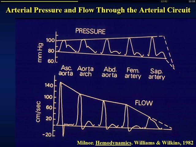 10 Getting the most out of arterial blood pressure monitoring Michael Pinsky  (H_dyn2017)