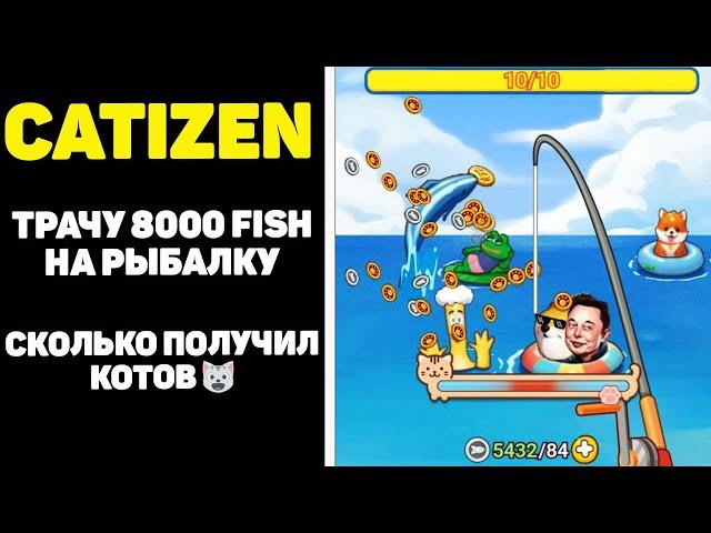 Как получить airdrop catizen трачу 8000 рыб на рыбалку. Аирдроп catizens в telegtam  #catizen