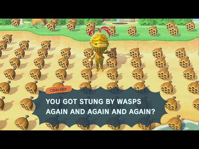 What Happens if You Get Stung 10 Times by Wasps