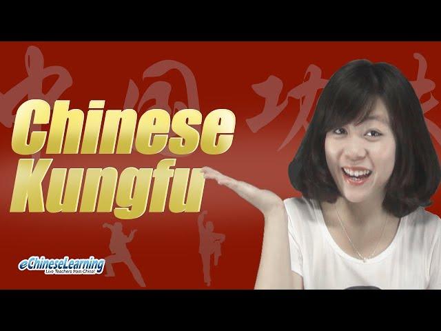 Beginner Mandarin Chinese Kungfu! with eChineseLearning