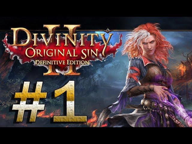 Прохождение Divinity: Original Sin 2, физическая группа, стрим часть 1 (+ полезные моды) 1080p рпг