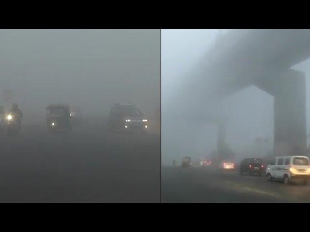 Watch | Dense fog envelops Delhi